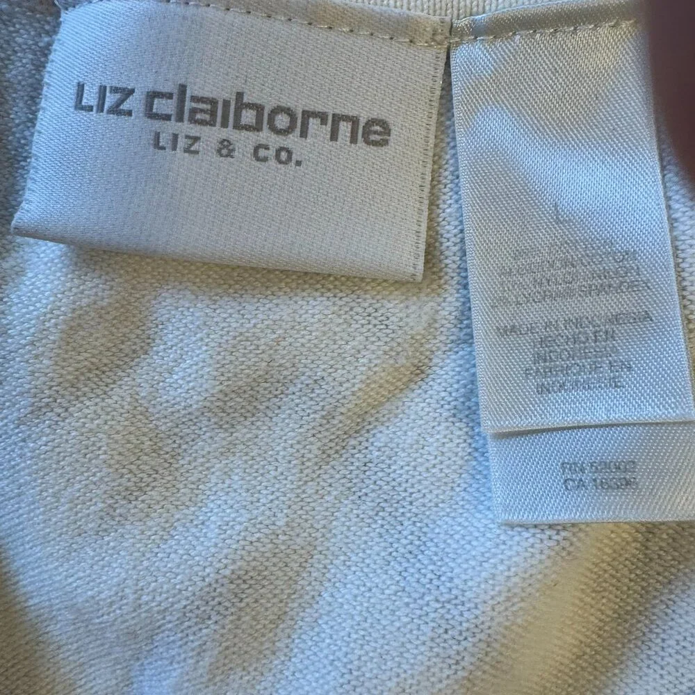 Zebra shell - Picture 4 of 4